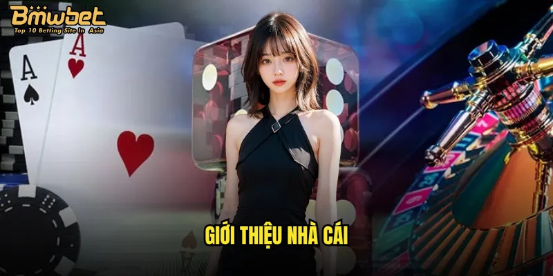 Quá trình hình thành và phát triển của nhà cái Bmwbet