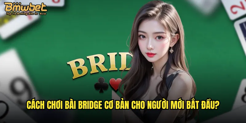Bài Bridge Bmwbet có phù hợp với người chơi Việt Nam không? 2 Cách chơi bài Bridge cơ bản cho người mới bắt đầu?
