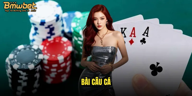 Làm thế nào để thành công trong bài câu cá Bmwbet? 7 bài câu cá
