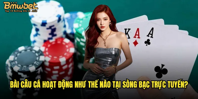 Làm thế nào để thành công trong bài câu cá Bmwbet? 2 Bài câu cá hoạt động như thế nào tại sòng bạc trực tuyến?