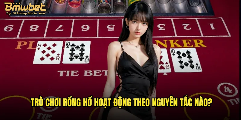 Rồng Hổ Bmwbet có thực sự dễ thắng như lời đồn? 2 Trò chơi Rồng Hổ hoạt động theo nguyên tắc nào?